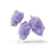 Obelys Grape Flossugar Cotton Candy Machine Supplies-4