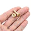 Brass Flat Head Button Stud Screws 10sets OSALADI Chicago Rivets-3