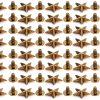 Bronze Star Studs 50 Set Garosa 14mm Chicago Screw Rivet for Apparel-8