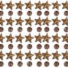 Bronze Star Studs 50 Set Garosa 14mm Chicago Screw Rivet for Apparel-2